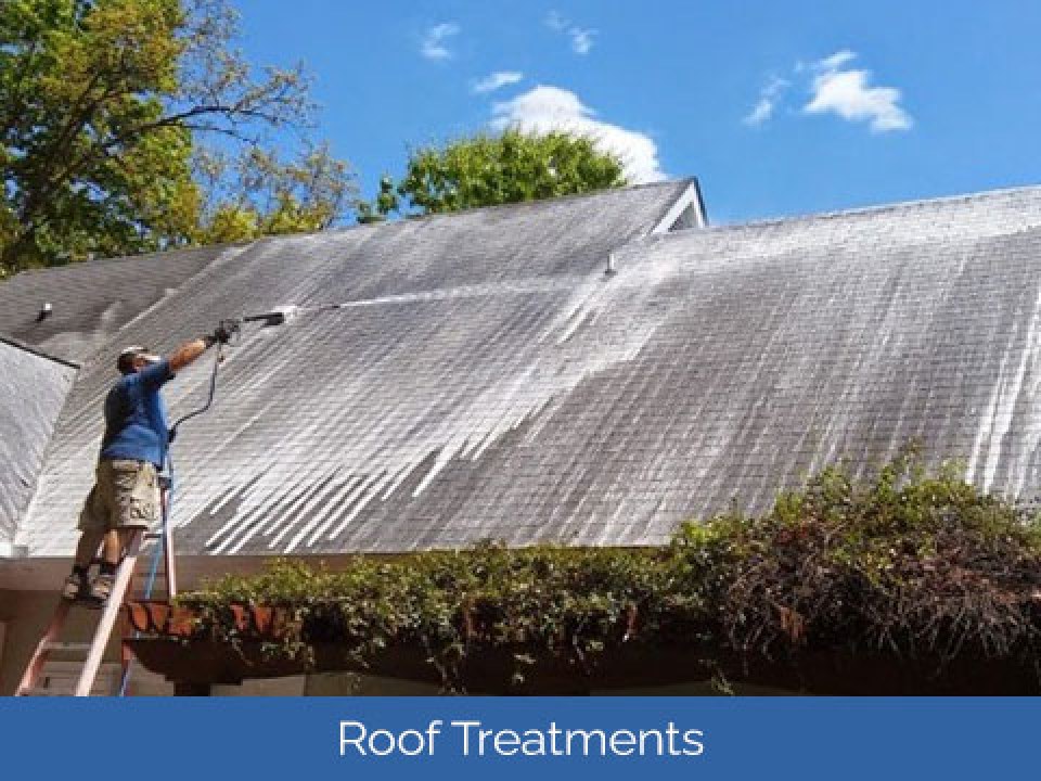 Roof Treatments